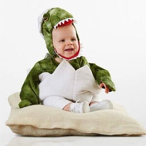 Pottery Barn Baby Egg Dino Costume